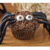 Picture of Halloween themed spider cupcakes
