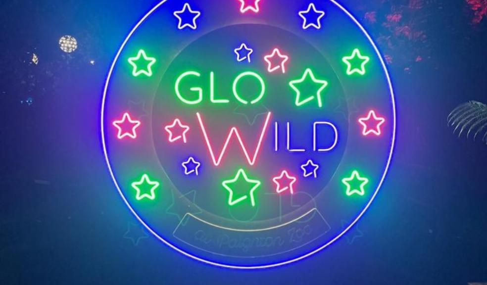 picture of GloWild at Paignton Zoo