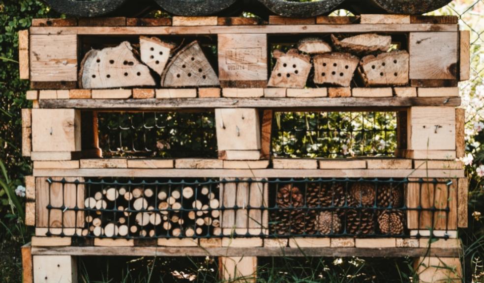 Picture of a bug hotel