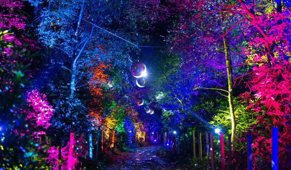 picture of BeWILDerwood Cheshire Glorious Glowing Lantern Parade