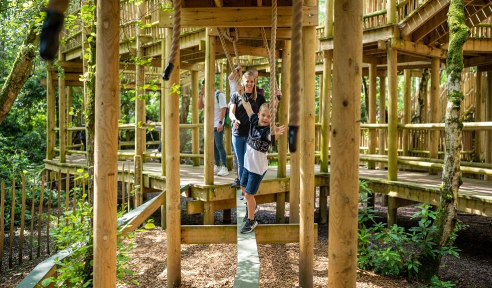 picture of BeWILDerwood Cheshire SkyMaze