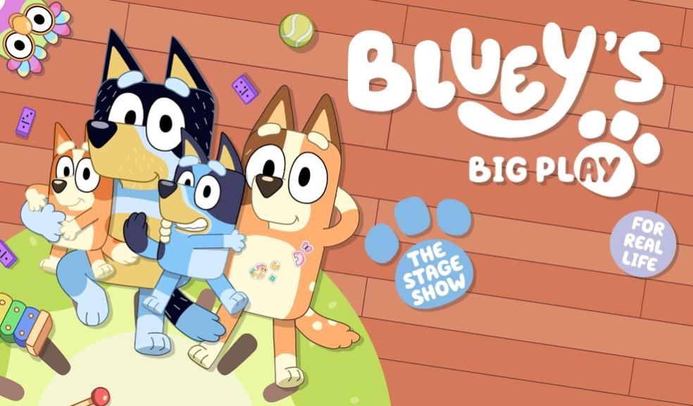 Blueys big play poster picture of Blueys big play poster
