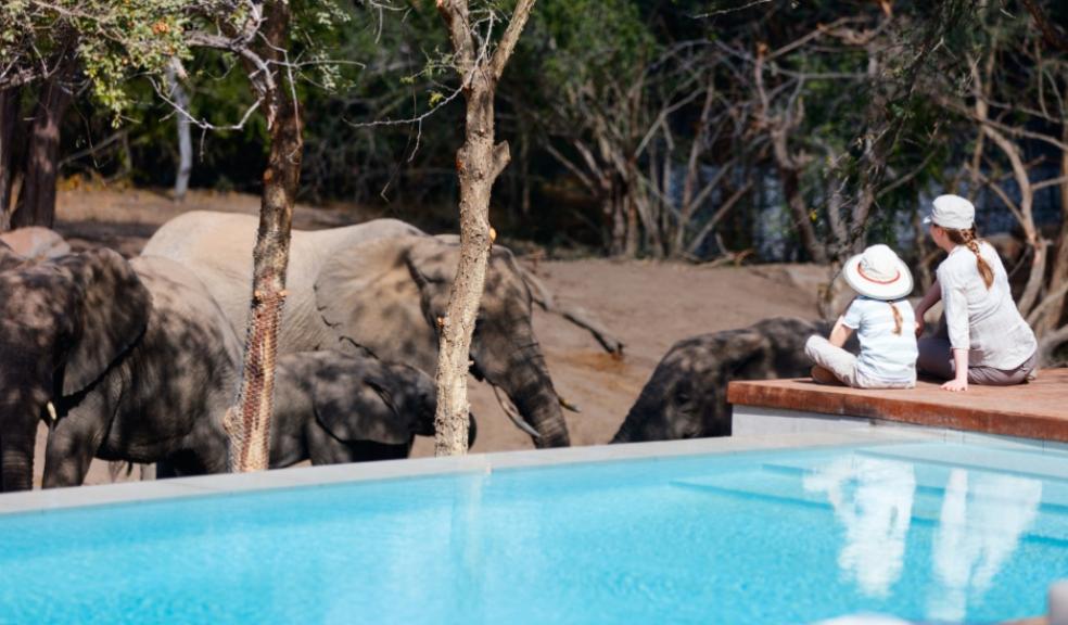 a mum and child sat by a pool watching Elephants on safari picture of a mum and child sat by a pool watching Elephants on safari