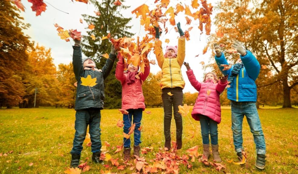 children throwing leaves in the air outside as an autumn activity picture of children throwing leaves in the air outside as an autumn activity