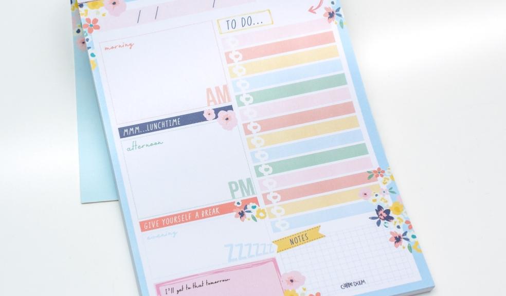 picture of pukka pad daily planner