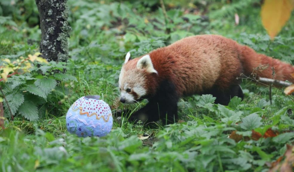 picture of Easter events at Edinburgh Zoo