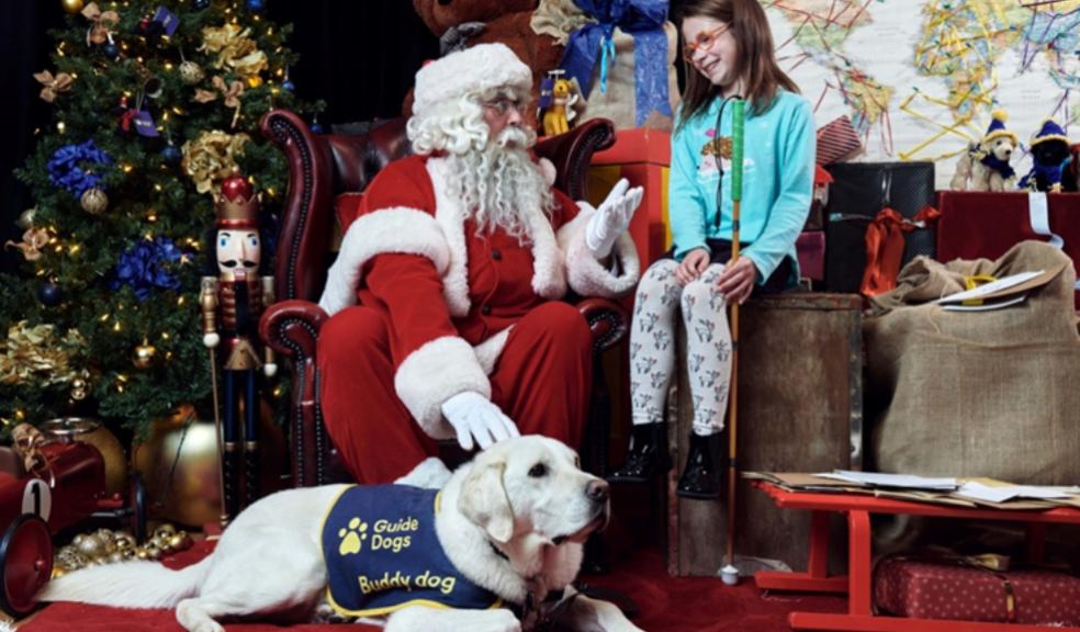 picture of Guide dogs Christmas grotto