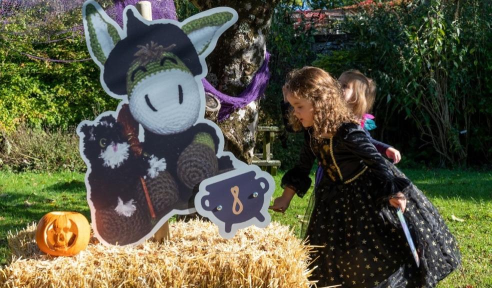 Haunted Hay Bales Halloween Trail at The Donkey Sanctuary picture of Haunted Hay Bales Halloween Trail at The Donkey Sanctuary