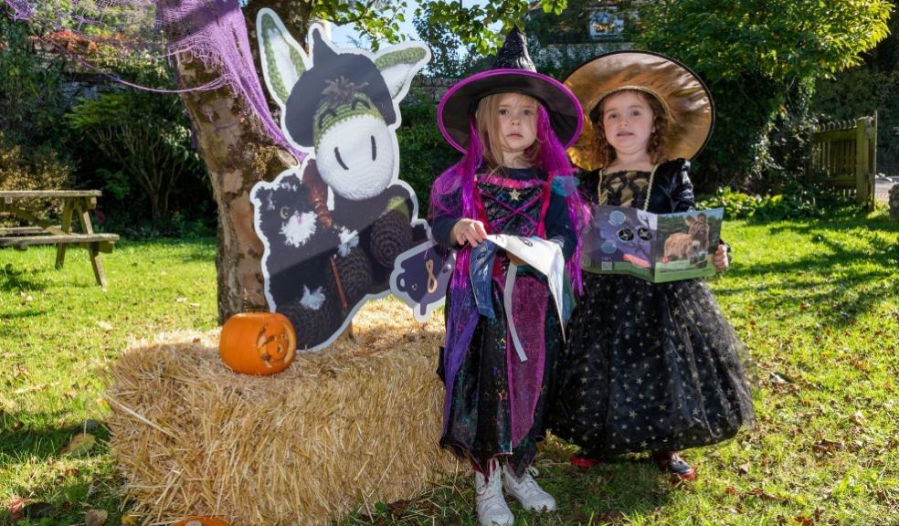 picture of Hide and Treat Halloween Hunt at The Donkey Sanctuary