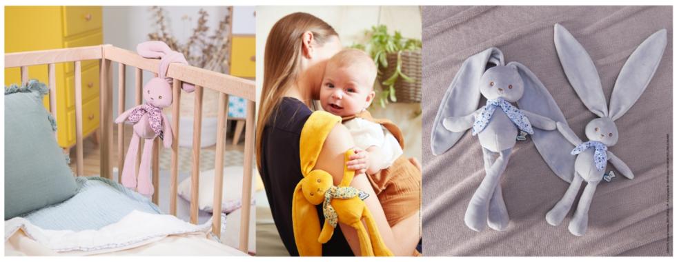 picture of Lapinoo rabbits