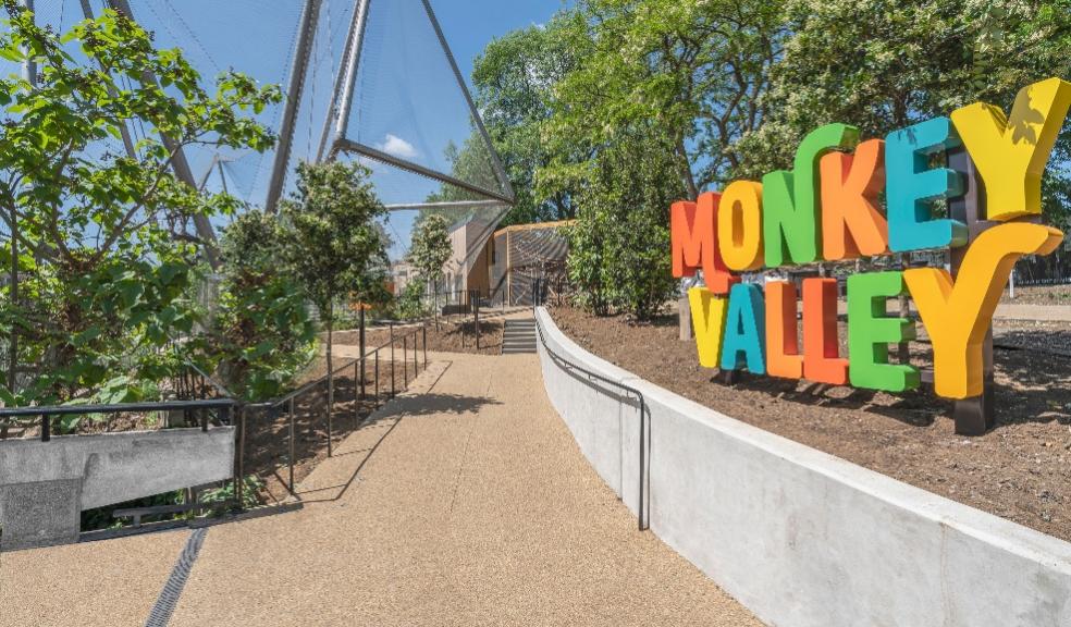 picture of monkey valley at London zsl zoo