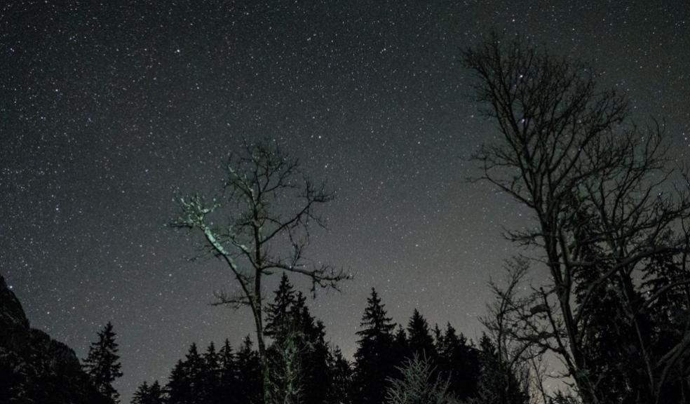 picture of Stargazing