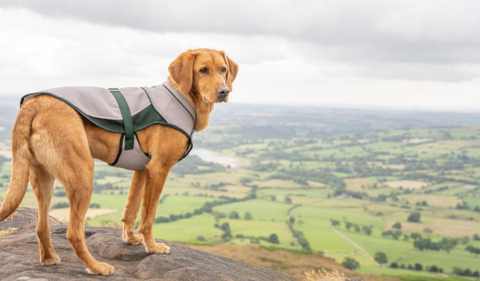 picture of The Ruff and Tumble Dog Cooling Coat
