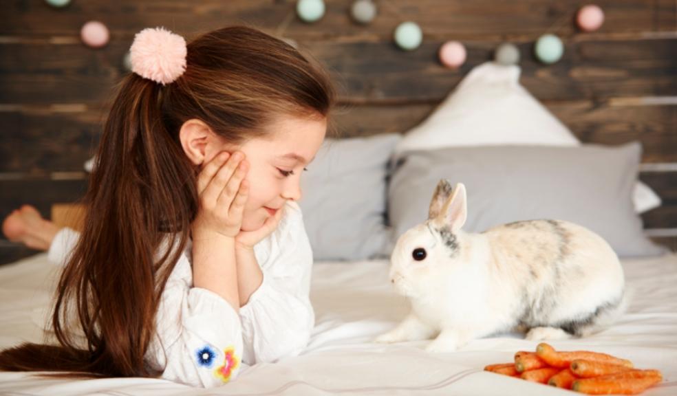 A picture of a child with her pet rabbit