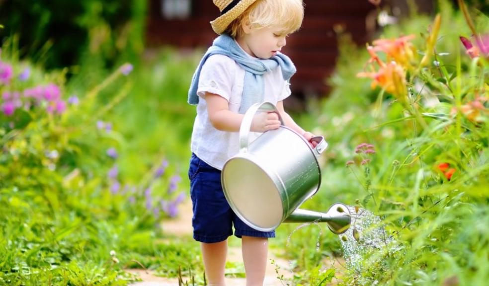 Picture of a small child watering some plants in a garden