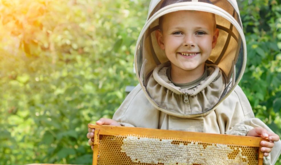 Picture of a child beekeeper