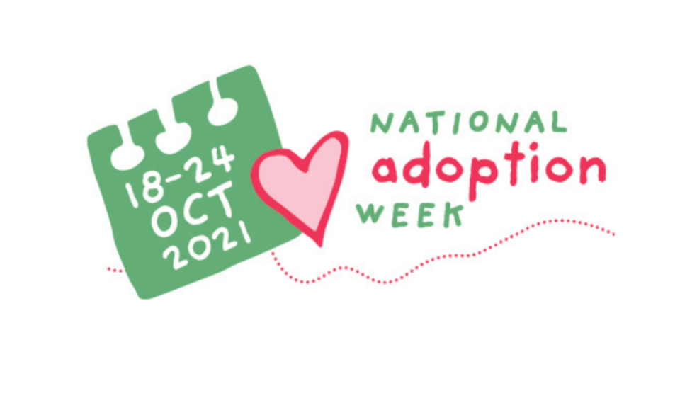 Picture of an infographic for national adoption week