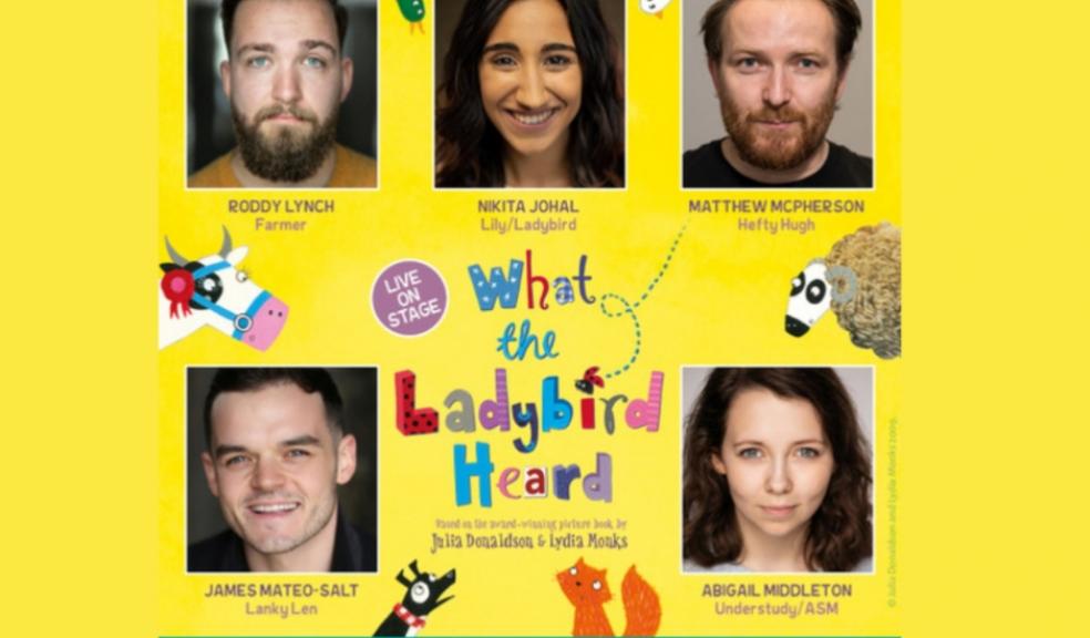 picture of what the ladybird heard theatre cast
