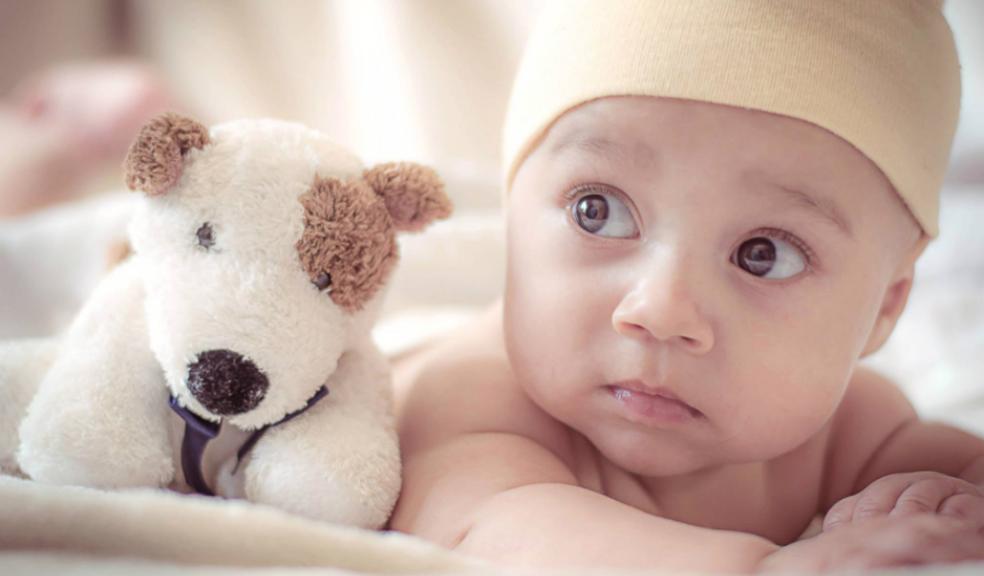 picture of a baby with a plush toy dog
