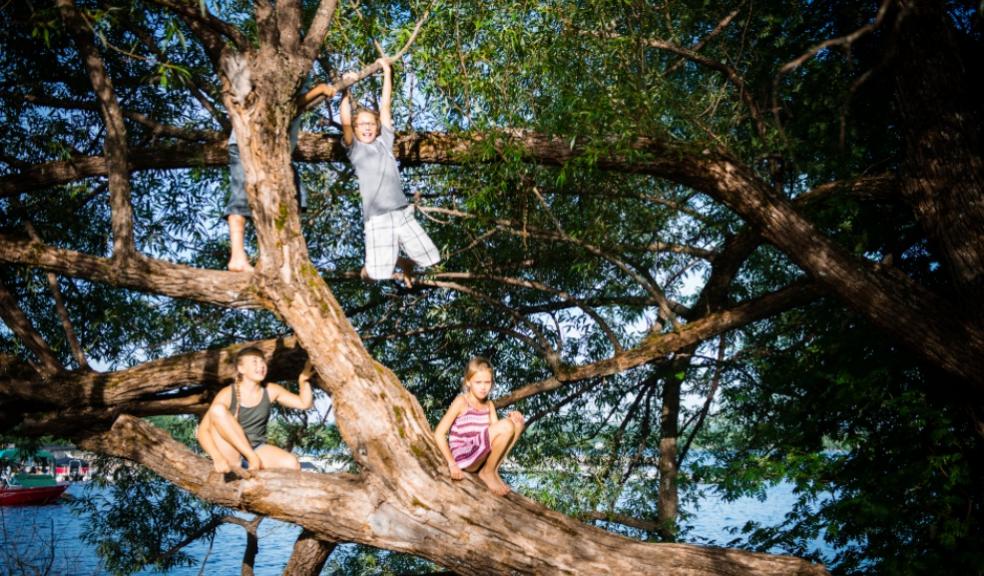picture of children climbing a tree