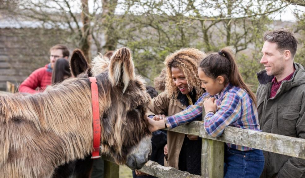 picture of Visitors at The Donkey Sanctuary Sidmouth