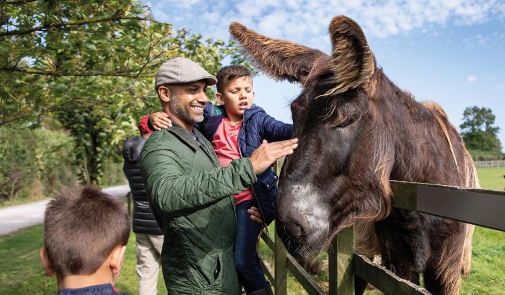 Visitors at The Donkey Sanctuary in Sidmouth picture of Visitors at The Donkey Sanctuary in Sidmouth