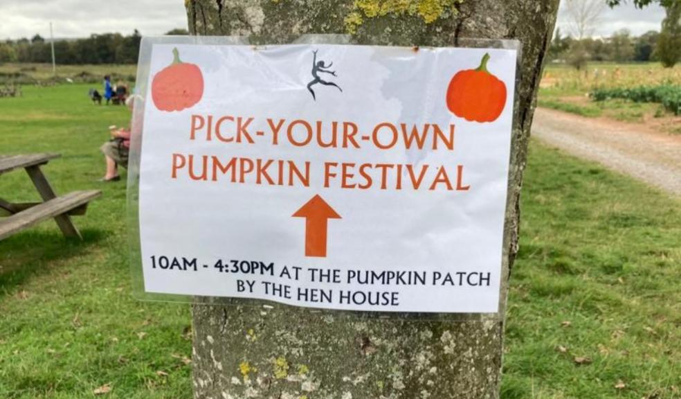 Picture of a pumpkin picking sign at darts farm