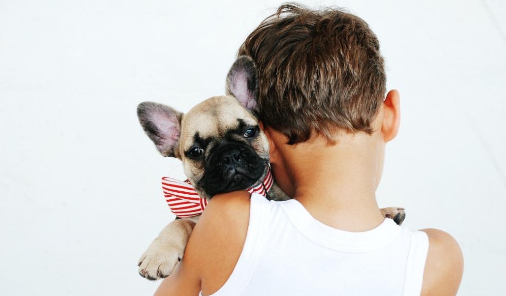 Picture of a child hugging a french bulldog dog