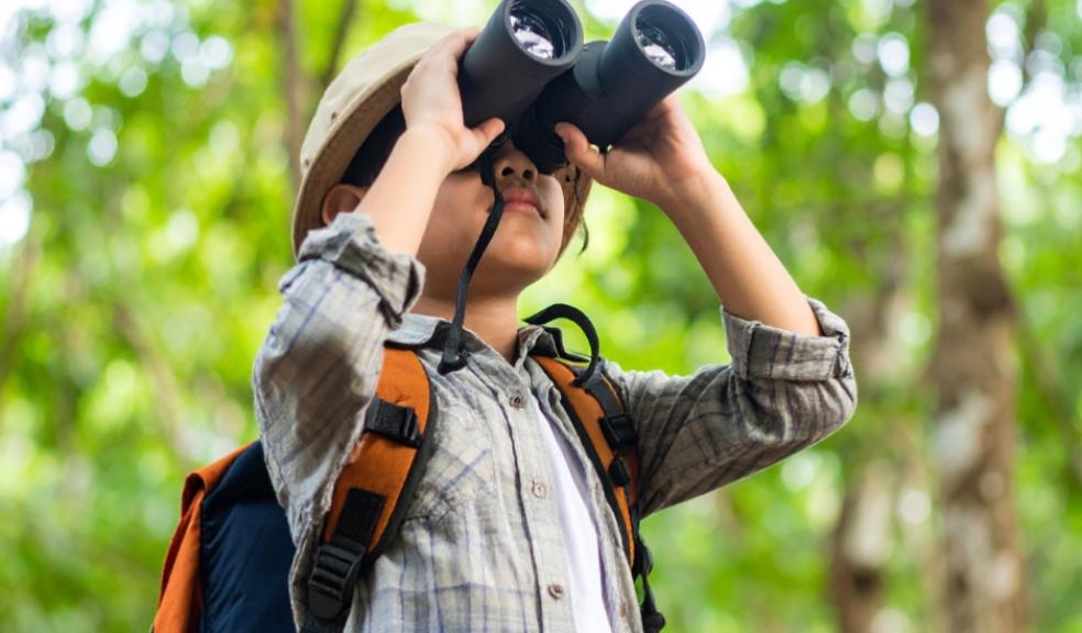 a curious child in a forrest looking through binoculars picture of a curious child in a forrest looking through binoculars