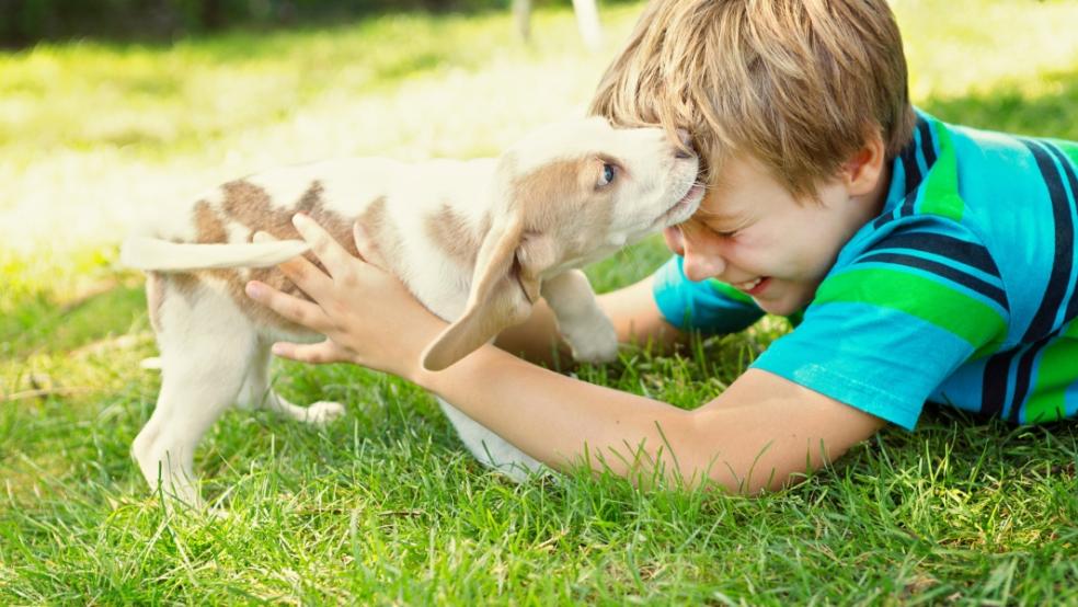 picture of a child and pet dog