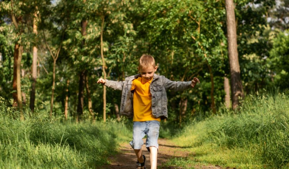 child in a forest picture of a child in a forest