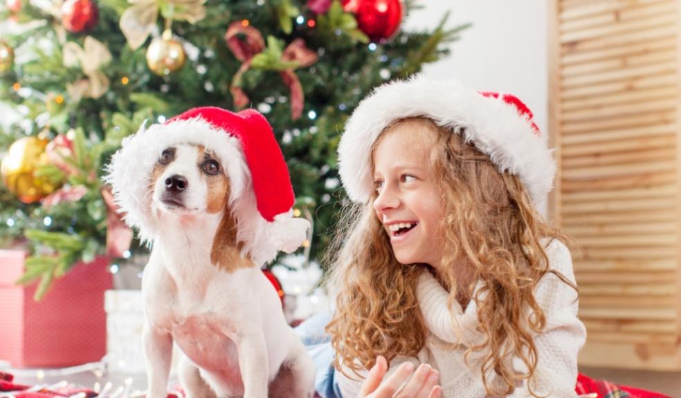 picture of a child with a dog at Christmas