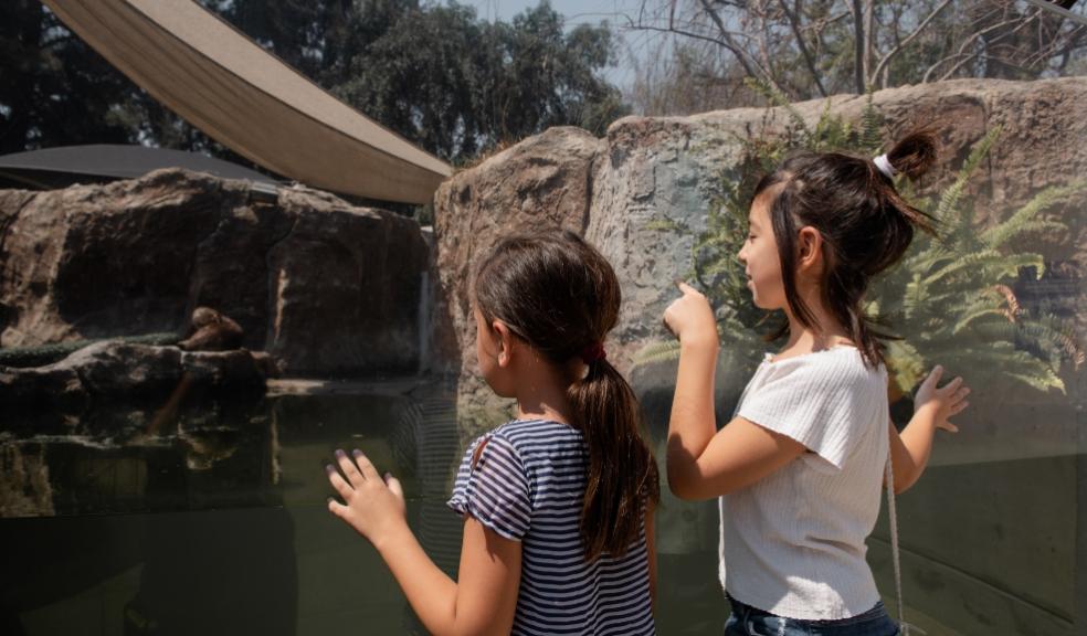 picture of children at a zoo
