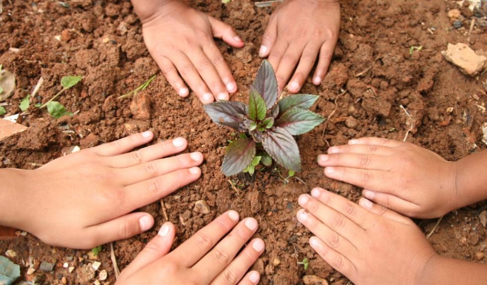picture of children gardening showing a plant sprouting from the ground