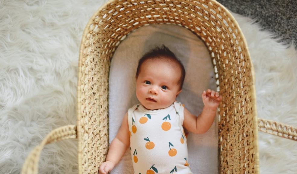 picture of a baby in a moses basket