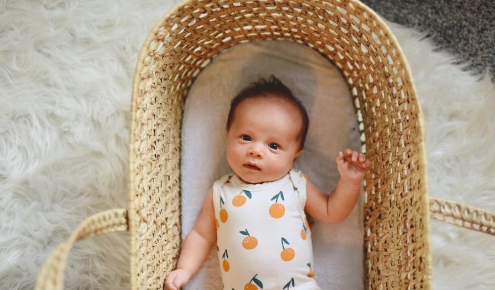 Moses baskets are a timeless staple of infant care and are renowned for their portability and snug comfort. Baby lying in a Moses basket
