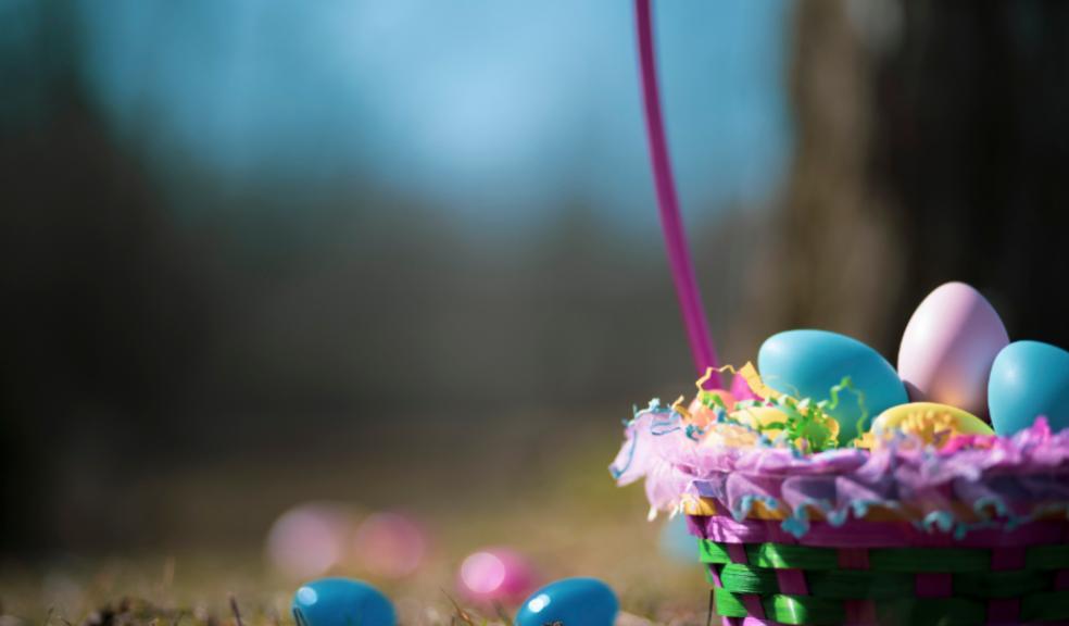 picture of an easter egg hunt