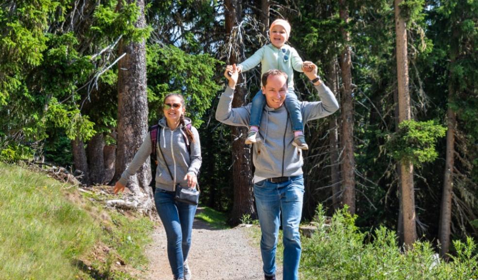 family walking in the woods picture of a family walking in the woods