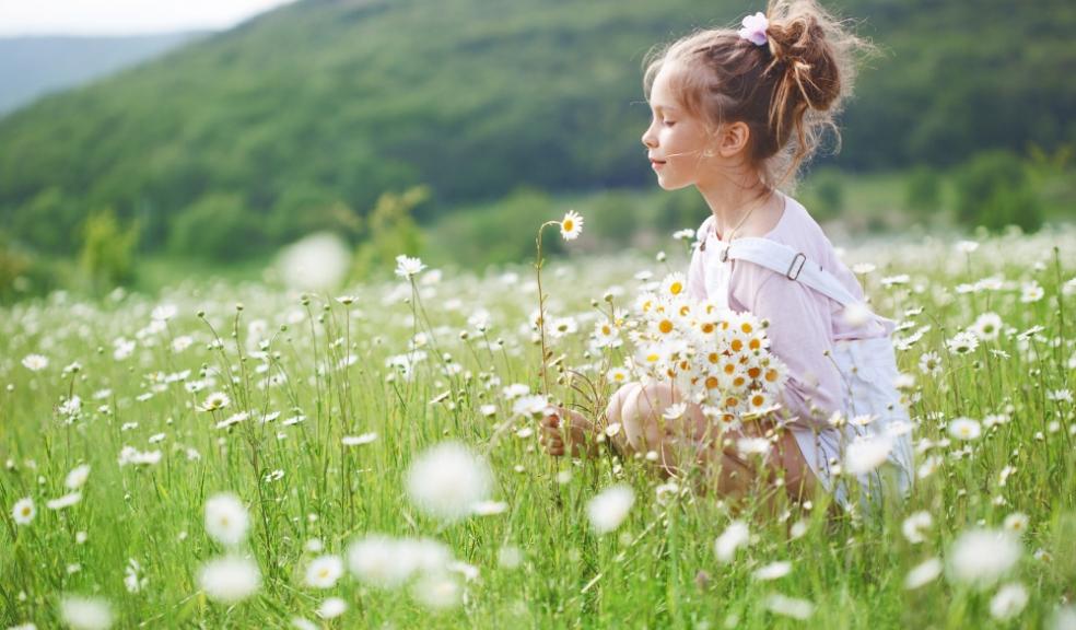 Picture of a little girl in a field of flowers