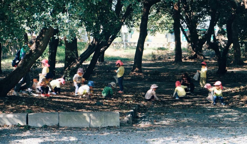 picture of children learning outside at a forest school