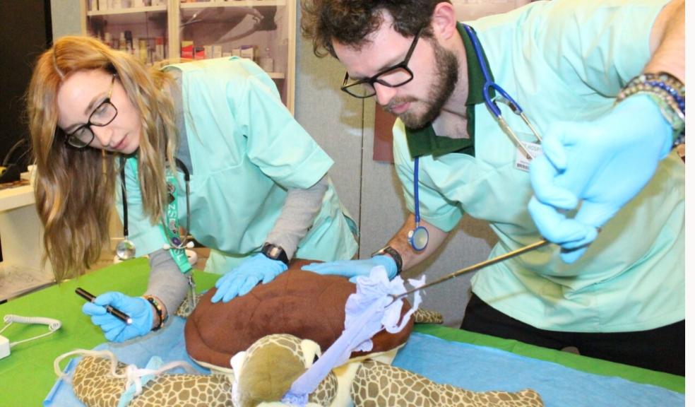 picture of vets working on cuddly toys at Whipsnade Zoo
