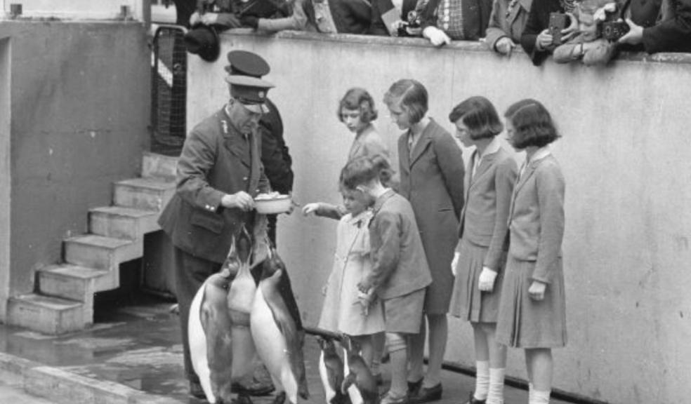 picture of the queen as a child zsl zoo london