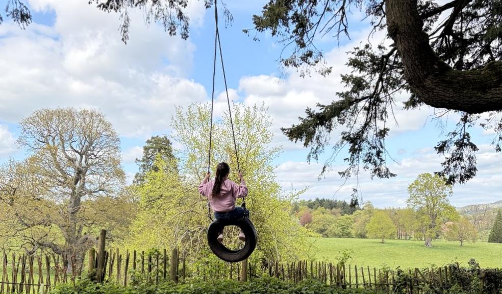 picture of a child on a rope swing at Wildwood looking at a beautiful view