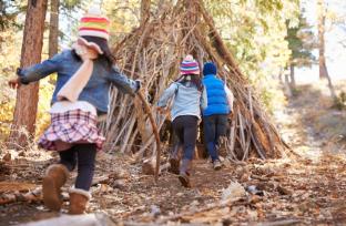 picture of children having fun in the woods