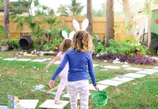 picture of easter egg hunt