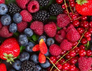 picture of Berries