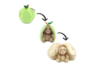 Crocket the apple dog picture of Crocket the apple dog