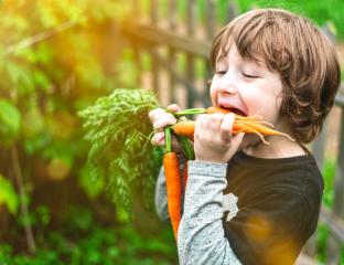 picture of a child eating carrots