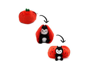 picture of comet the tomato ladybird