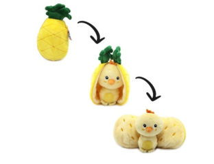 picture of nugget the pineapple chick